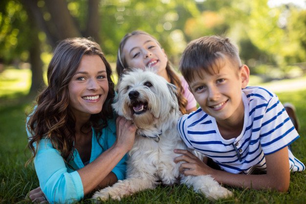 familia-feliz-desfrutando-no-parque_107420-82562